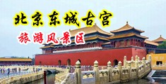 大鸡巴猛猛干紧骚逼视频中国北京-东城古宫旅游风景区